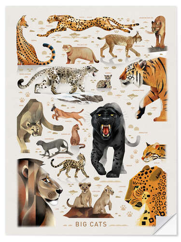 Wandsticker Big Cats II