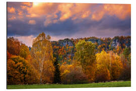Obraz na aluminium Autumn in Bohemian Switzerland
