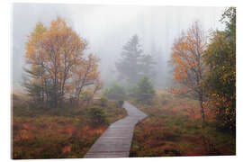 Acrylic print Autumn mood in the raised bog - Dave Derbis