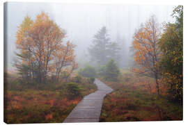 Tableau sur toile Autumn mood in the raised bog - Dave Derbis