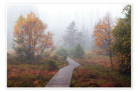 Wandbild Herststimmung im Hochmoor - Dave Derbis