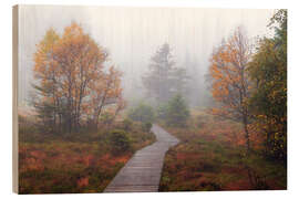 Holzbild Herststimmung im Hochmoor - Dave Derbis