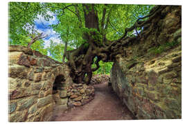 Acrylglasbild Zauberbaum von Lauenburg, Deutschland - Dave Derbis