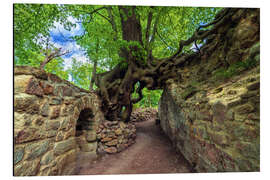 Alubild Zauberbaum von Lauenburg, Deutschland - Dave Derbis