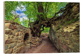 Cuadro de madera Magic Tree of Lauenburg, Germany - Dave Derbis