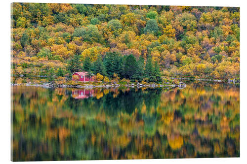 Akrylbillede Autumn in Lofoten, Norway