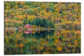 Cuadro de aluminio Autumn in Lofoten, Norway - Achim Thomae
