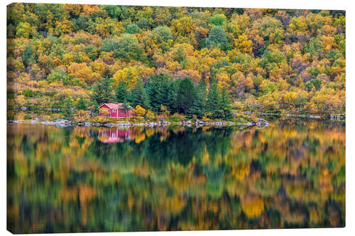 Canvas print Autumn in Lofoten, Norway