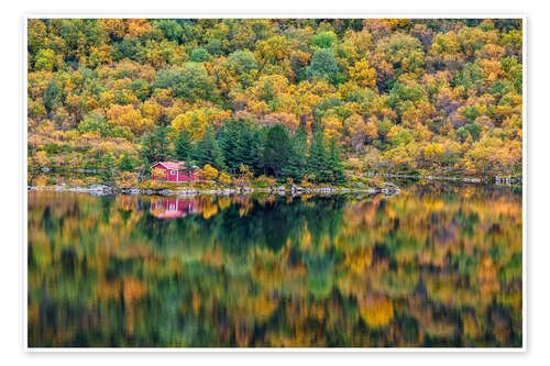 Poster Autumn in Lofoten, Norway