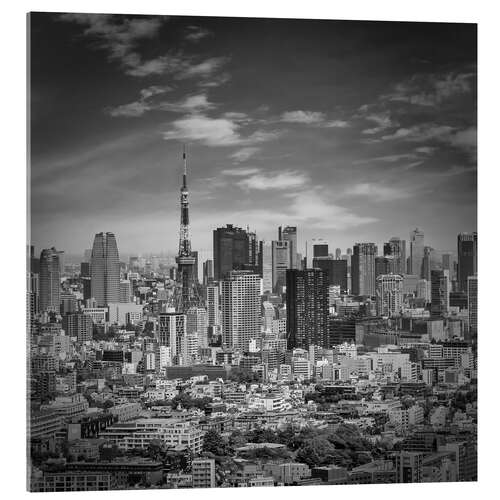 Obraz na szkle akrylowym Tokyo skyline
