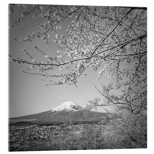 Stampa su vetro acrilico Fuji at cherry blossom