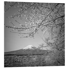 Hartschaumbild Fuji bei Kirschblüte