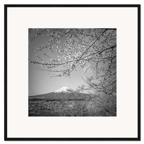 Impression artistique encadrée Fuji at cherry blossom