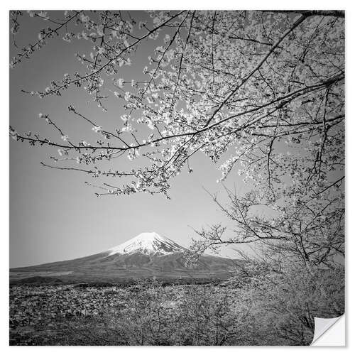 Vinilo para la pared Fuji at cherry blossom