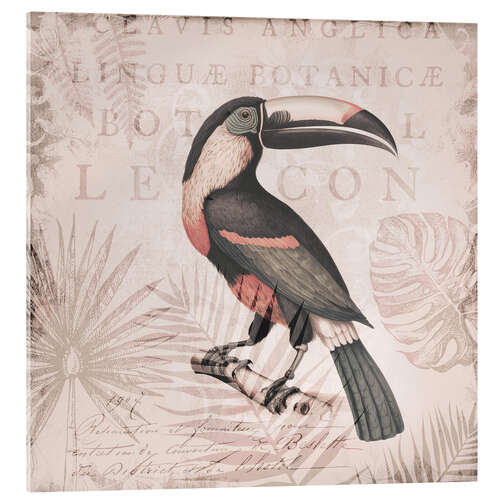 Obraz na szkle akrylowym Toucans Tropical Hideaway