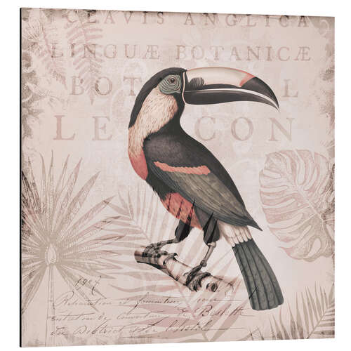 Quadro em alumínio Toucans Tropical Hideaway