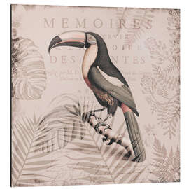 Aluminiumsbilde Toucans Tropical Paradise