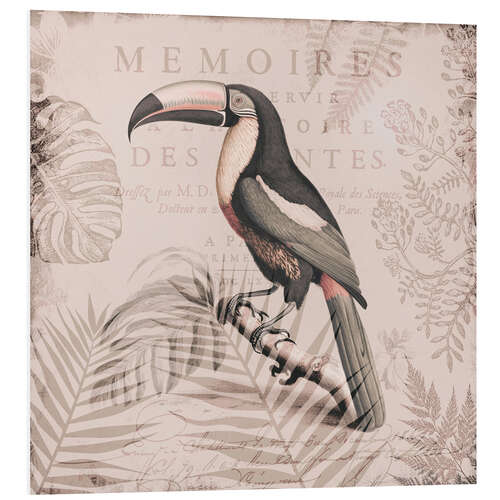 Cuadro de PVC Toucans Tropical Paradise