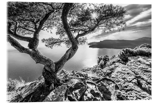 Akryylilasitaulu Corniche des Crêtes on the Côte d'Azur