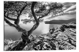 Alumiinitaulu Corniche des Crêtes on the Côte d'Azur - Dieterich Fotografie