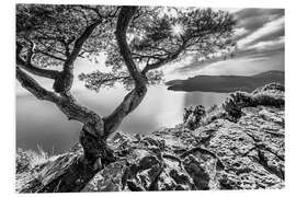 Hartschaumbild Corniche des Crêtes an der Côte d’Azur