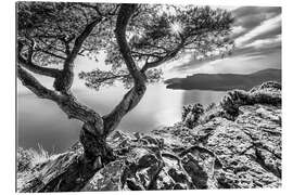 Gallery Print Corniche des Crêtes an der Côte d’Azur