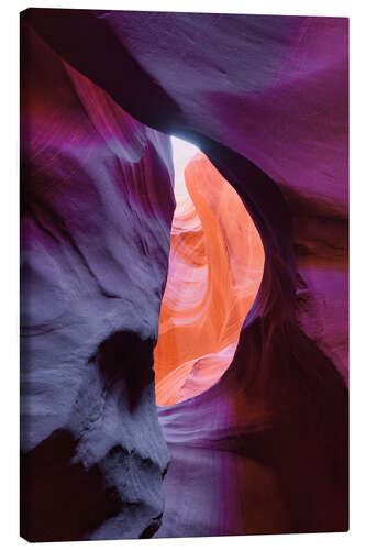 Stampa su tela View into the canyon