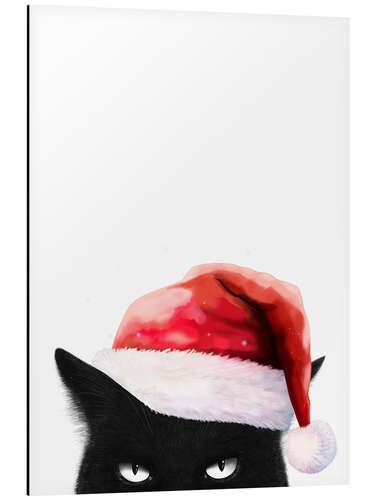 Cuadro de aluminio Bad Santa