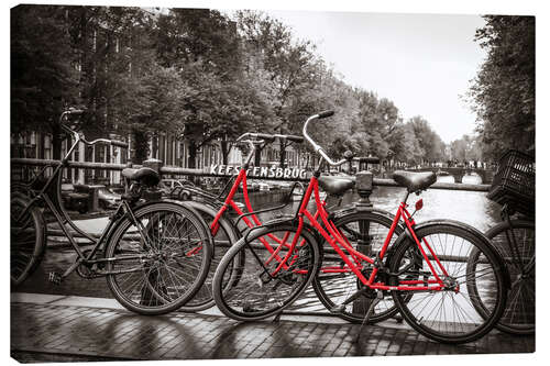 Tableau sur toile Red bicycles in Amsterdam