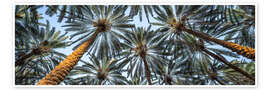 Kunstwerk Palm trees - Jan Christopher Becke