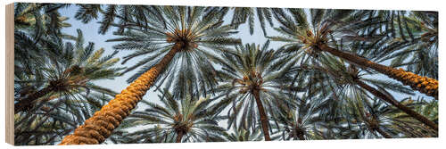 Obraz na drewnie Palm trees