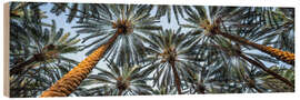 Obraz na drewnie Palm trees