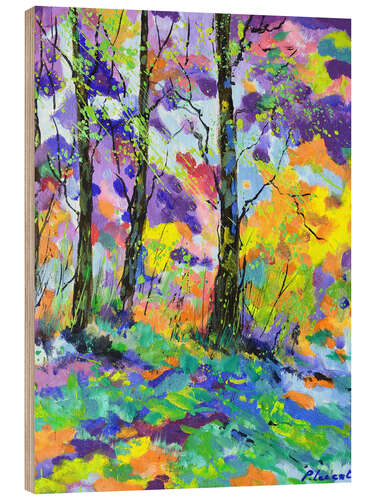 Cuadro de madera Colourful wood