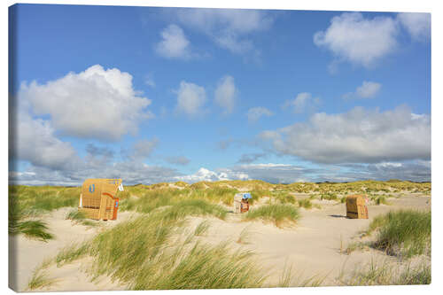 Quadro em tela Beach chairs in the dunes on Amrum, Germany