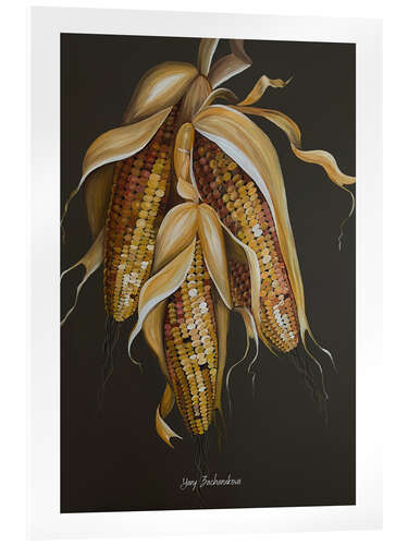 Acrylic print Farmer's corn cob