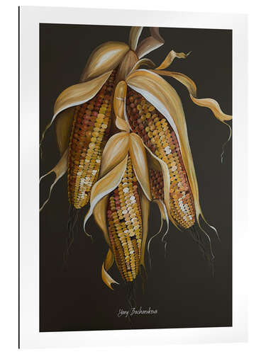 Stampa su plexi-alluminio Farmer's corn cob