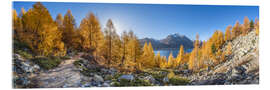 Acrylic print Silsersee Panorama in Autumn - Jan Christopher Becke