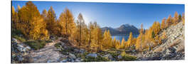 Aluminium print Silsersee Panorama in Autumn - Jan Christopher Becke