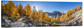 Canvastavla Silsersee Panorama in Autumn - Jan Christopher Becke