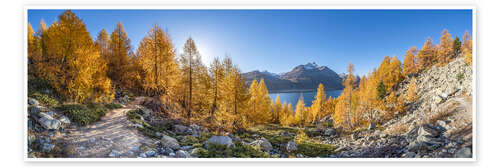 Poster Silsersee Panorama in Autumn