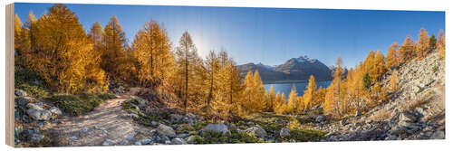 Wood print Silsersee Panorama in Autumn