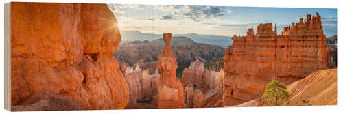 Holzbild Thors Hammer, Bryce Canyon, Utah