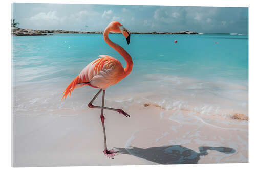 Stampa su vetro acrilico Flamingo on the beach in Aruba