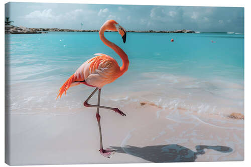 Quadro em tela Flamingo on the beach in Aruba