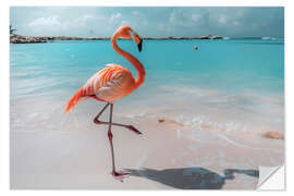 Selvklebende plakat Flamingo on the beach in Aruba