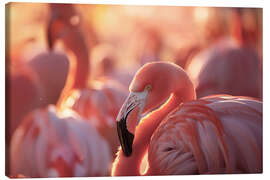 Canvas print Flamingo in the evening light - Christian Müringer