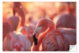 Adesivo murale Flamingo in the evening light
