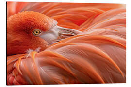 Aluminium print Flamingo Feathers - Christian Müringer