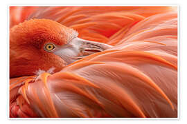 Wall print Flamingo Feathers - Christian Müringer