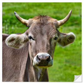 Autocolante decorativo Portrait of a Schwarzwald Cow - Thomas Klee
